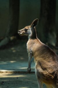 フリーランスと副業、どっちが自分に合っているのか？