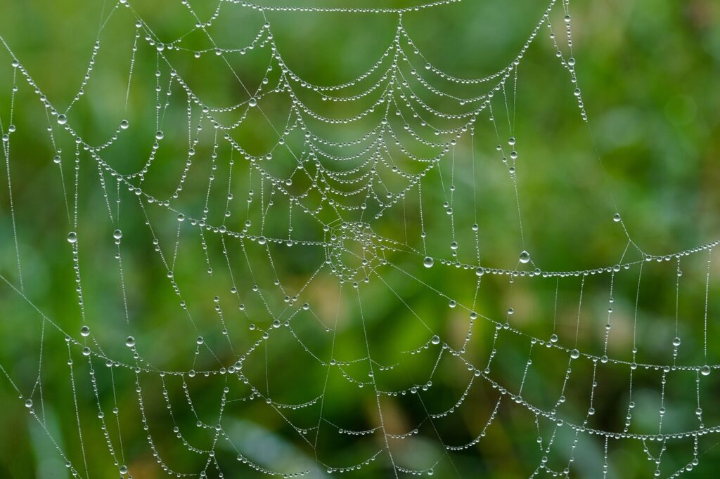Webデザインの副業を始めるための在宅でのステップは？